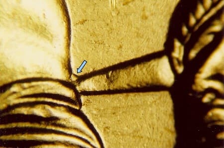 2007 Doubled Die Reverse WDDR-004