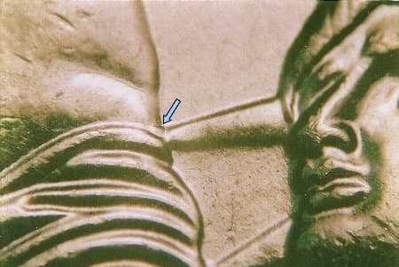 2010 Doubled Die Reverse WDDR-001