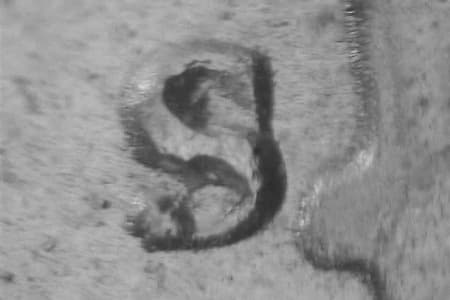 1951-S Repunched Mintmark WRPM-004