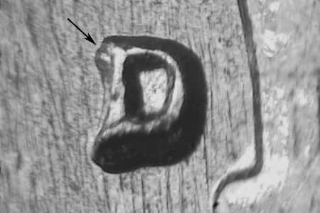 1960-D Repunched Mintmark WRPM-009