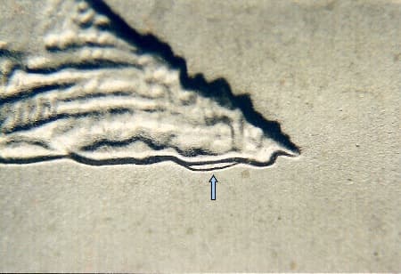 2005-D Doubled Die Reverse WDDR-001