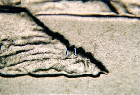 2005-D Doubled Die Reverse WDDR-007