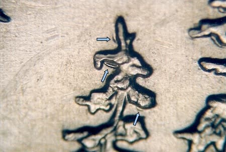 2005 Doubled Die Reverse WDDR-007