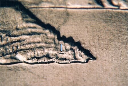 2005 Doubled Die Reverse WDDR-008