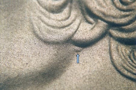 2007 Doubled Die Obverse WDDO-003