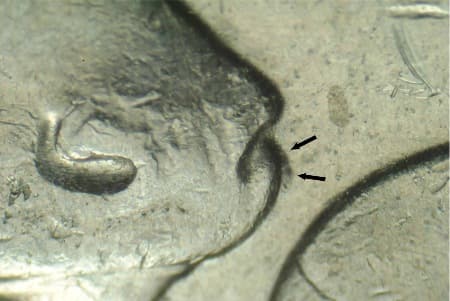 2004 Doubled Die Reverse WDDR-012