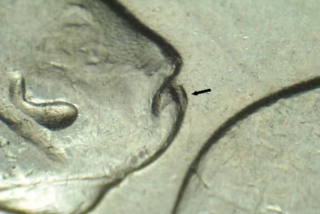 2004 Doubled Die Reverse WDDR-015