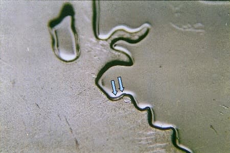 2007-S Doubled Die Reverse WDDR-001