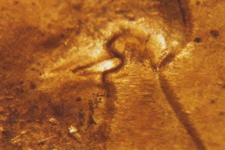 1936-S Doubled Die Obverse WDDO-001