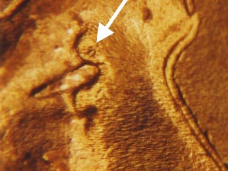 1937 Doubled Die Obverse WDDO-005