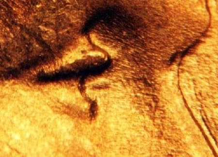 1939 Doubled Die Obverse WDDO-006