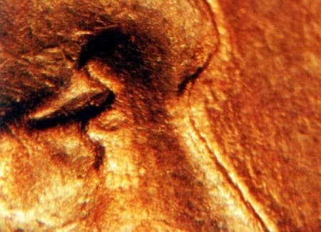 1939 Doubled Die Obverse WDDO-011