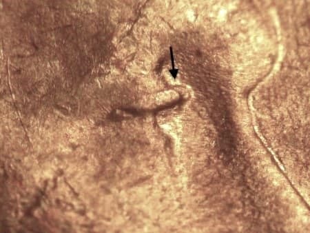 1940 Doubled Die Obverse WDDO-004
