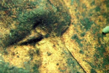 1940 Doubled Die Obverse WDDO-017