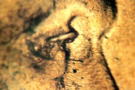 1944-D Doubled Die Obverse WDDO-032