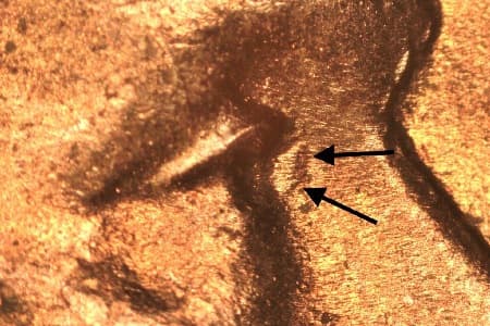 1953-D Doubled Die Obverse WDDO-002