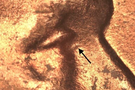 1955-D Doubled Die Obverse WDDO-002