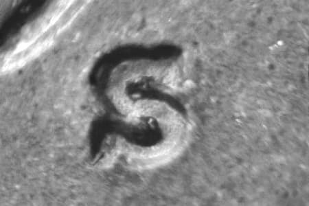1919-S Repunched Mintmark WRPM-002