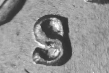 1948-S Repunched Mintmark WRPM-021