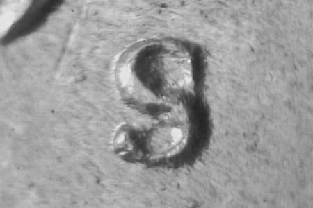 1948-S Repunched Mintmark WRPM-022
