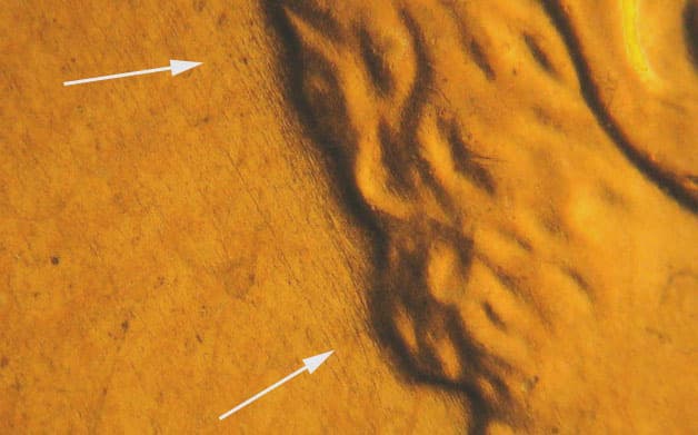 2007P-1DEO-016T Trail Die Obverse