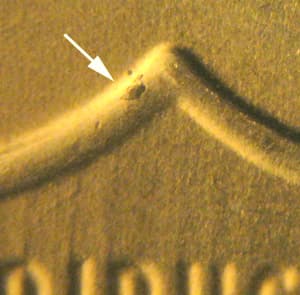 2012P-1DEO-013T Trail Die Obverse
