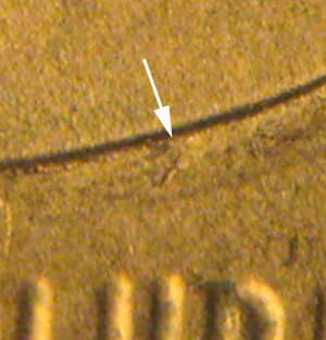 2013P-1DEO-003T Trail Die Obverse