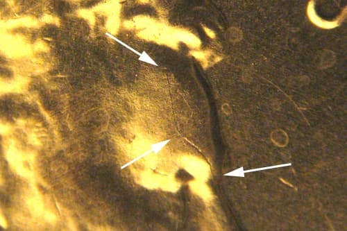 2013P-1DEO-006T Trail Die Obverse