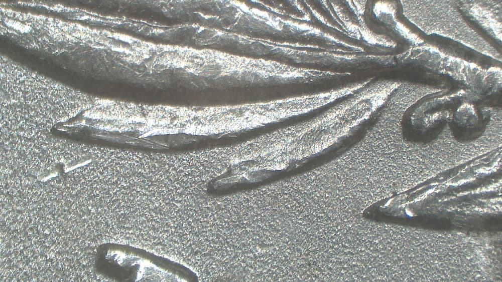 1881-P VAM-13