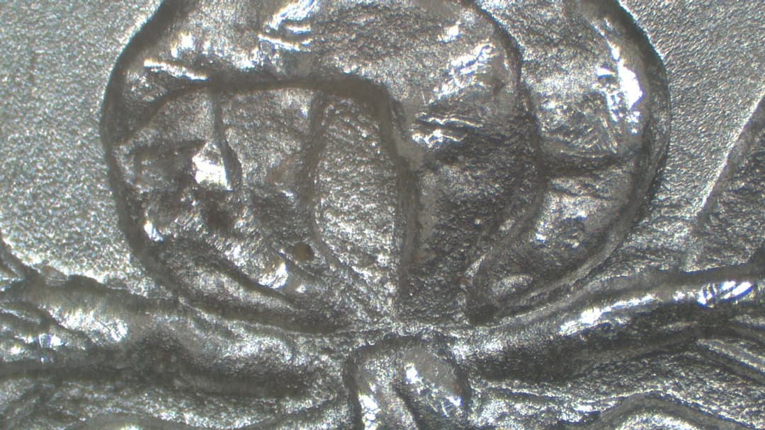 1883-P VAM-17B