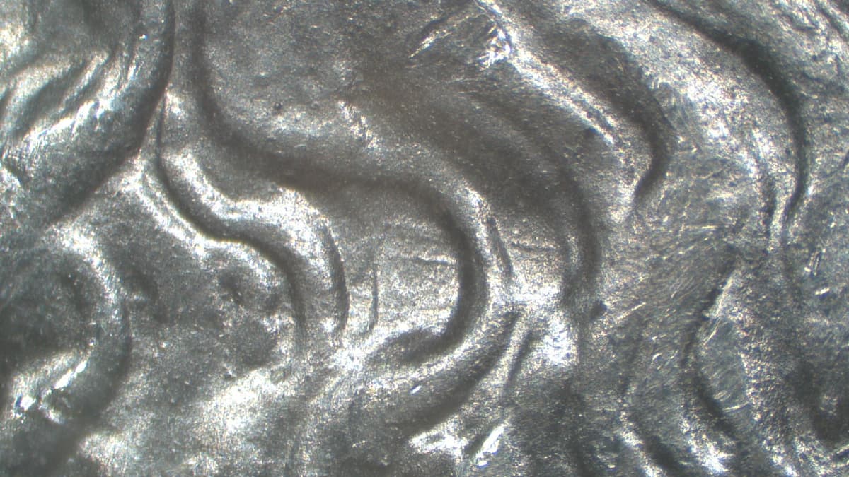 1884-O VAM-15