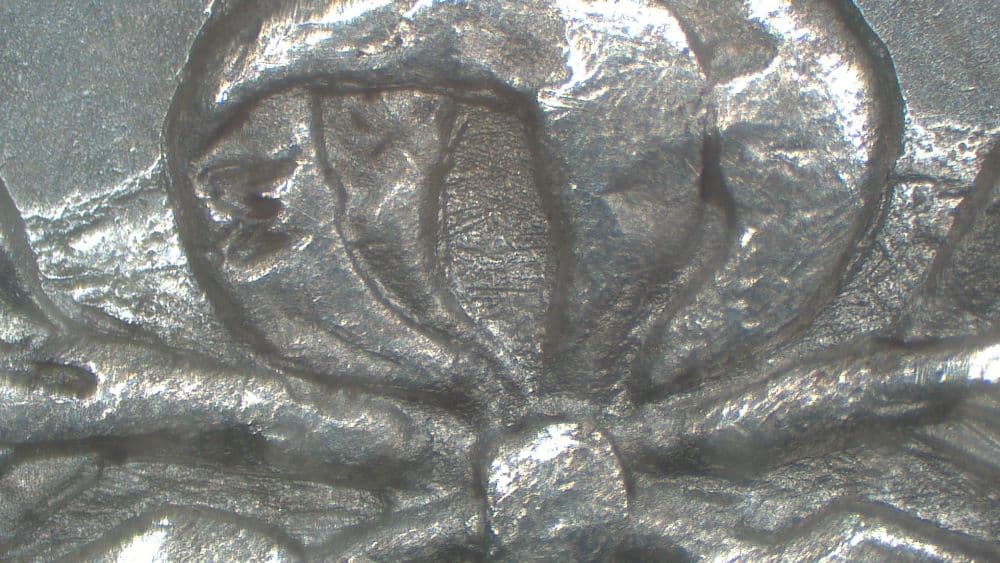 1890-CC VAM-7