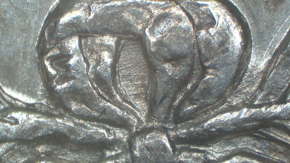 1890-O VAM-1G