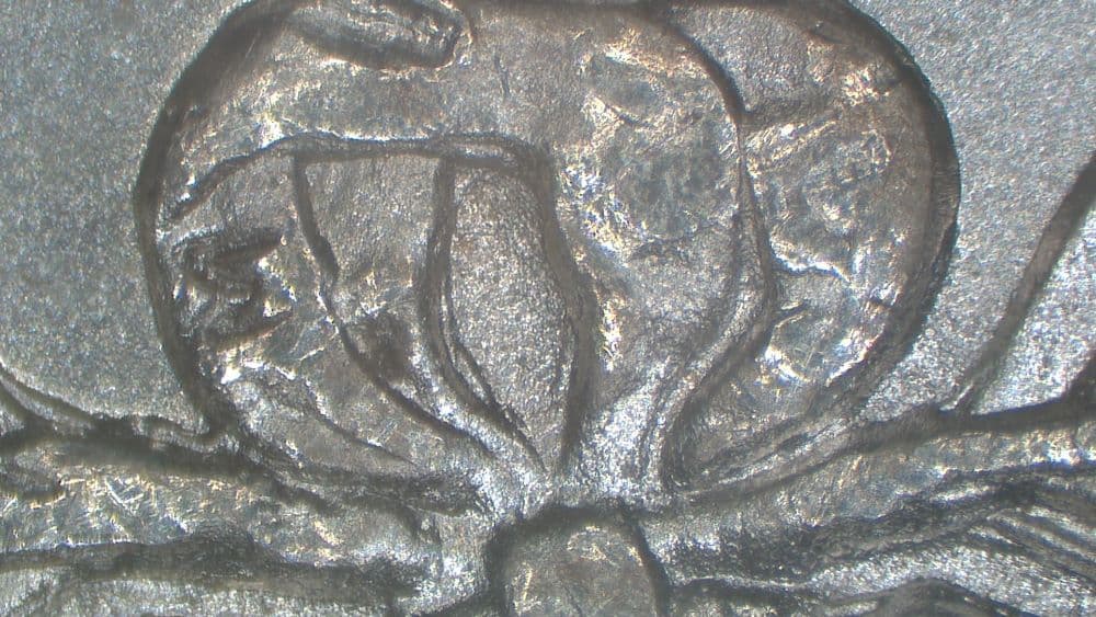 1890-P VAM-1F