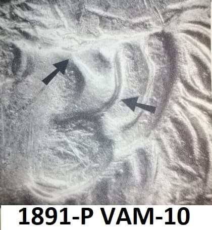 1891-P VAM-10