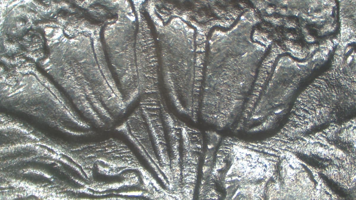 1892-O VAM-12