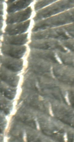 1896-O VAM-10A