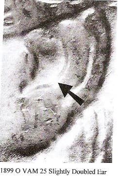 1899-O VAM-25