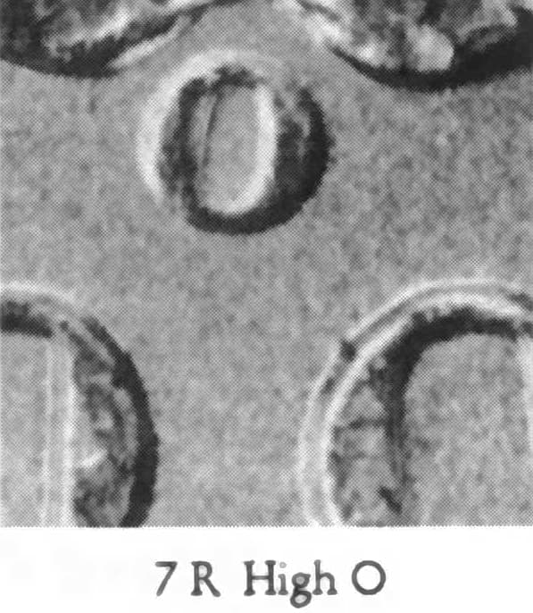 1899-O VAM-7