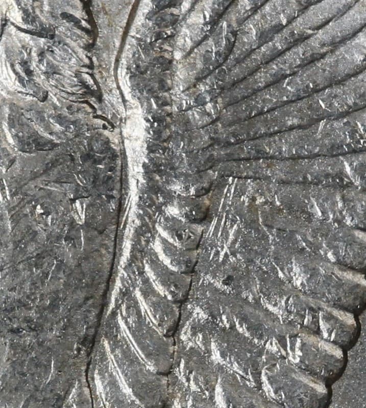 1900-O VAM-23A
