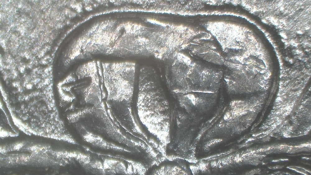 1901-P VAM-20