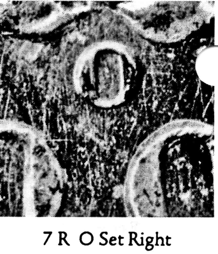 1904-O VAM-7