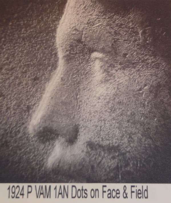 1924-P VAM-1AN