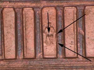 2000 Doubled Die Reverse DDR-008