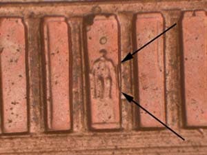 2001 Doubled Die Reverse DDR-031