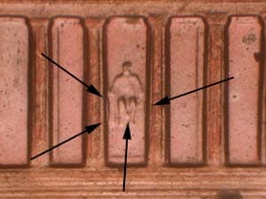 2005 Doubled Die Reverse DDR-006