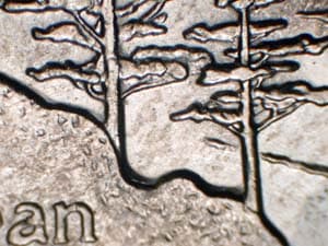 2005-D Doubled Die Reverse DDR-001