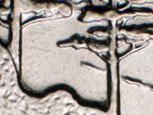 2005 Doubled Die Reverse DDR-017