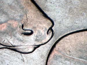 2004 Doubled Die Reverse DDR-001