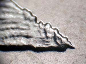 2005-D Doubled Die Reverse DDR-007